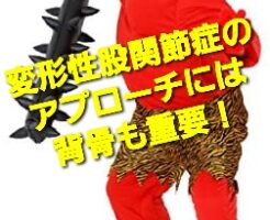 変形性股関節症のアプローチには背骨も重要！