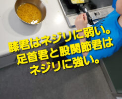 膝君はネジリに弱い。足首君と股関節君はネジリに強い。