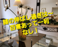 膝の伸ばし過ぎは〜百害あって一利なし〜！