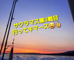 サクラマス第3戦目、行ってキマース