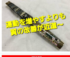 運動を増やすよりも質の改善が近道〜