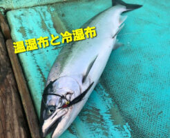 温湿布と冷湿布