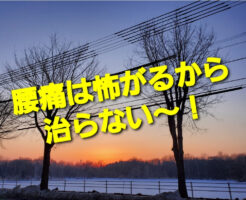 腰痛は怖がるから治らない〜！