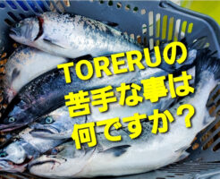 TORERUの苦手な事は何ですか？