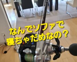 なんでソファで寝ちゃだめなの？