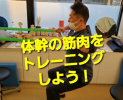 体幹の筋肉をトレーニングしよう！