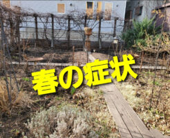 春の症状