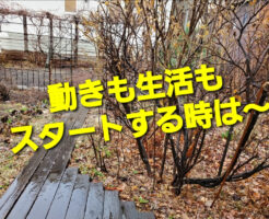 動きも生活もスタートする時は〜