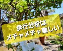 歩行分析はメチャメチャ難しい